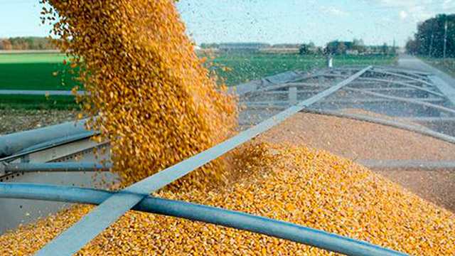 Как обеспечить безопасное и долгосрочное хранение зерна: советы и рекомендации по строительству зерносклада