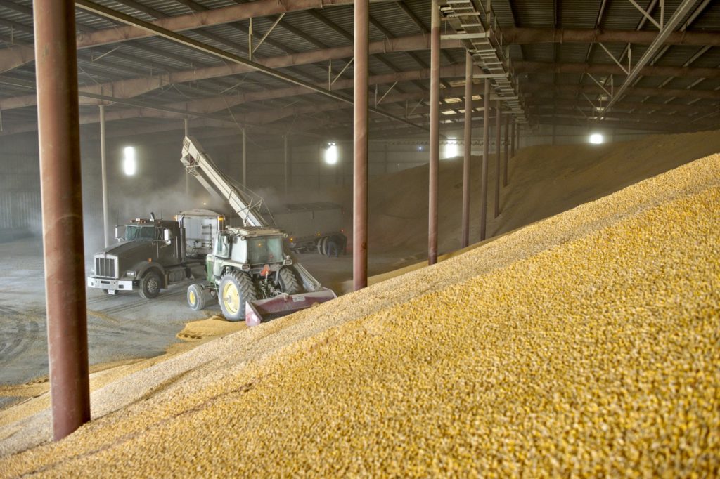 Как обеспечить безопасное и долгосрочное хранение зерна: советы и рекомендации по строительству зерносклада